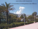 Cumulonimbus