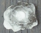 Halo