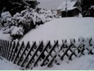 Schnee